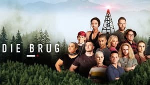 Die Brug — foto 3