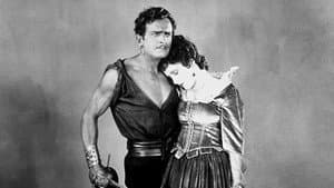 The Black Pirate — foto 4