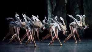 Lac (After Swan Lake) — foto 1