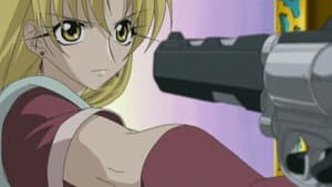 Episodio 12