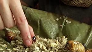 Episodio 6