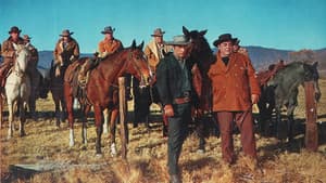 Cattle King — foto 1