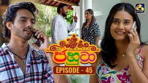 Episodio 45