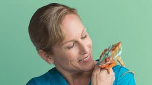 Dr. K's Exotic Animal ER — foto 3
