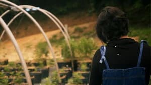 O Outro Mundo de Sofia — foto 1
