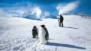 Antarctica: A Year on Ice — foto 1
