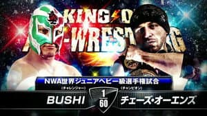 NJPW King of Pro-Wrestling 2014 — foto 4