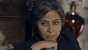 Episodio 29