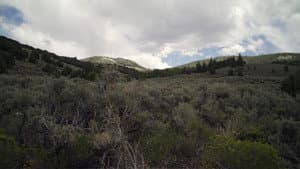 Horror in the High Desert — foto 2