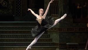 Swan Lake — foto 2