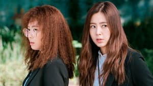 비정규직 특수요원 — foto 4