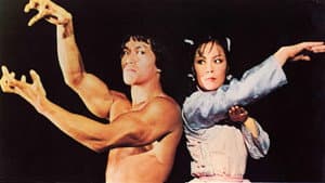 龍拳蛇手 — foto 2