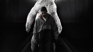 Polar Bear — foto 1