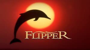 Flipper — foto 5