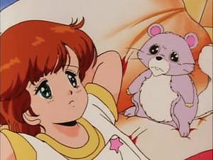 Episodio 14