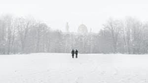 The Oslo Diaries — foto 2