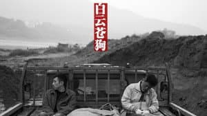 Baiyun·Cang gou — foto 1