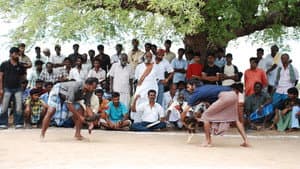 ஆடுகளம் — foto 12