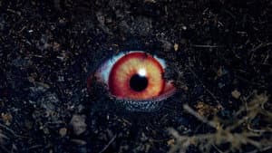 El último conjuro — foto 1