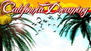 California Dreaming — foto 1
