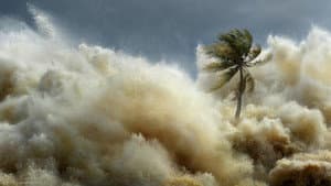 Tsunamis: Carrera contra el tiempo — foto 9