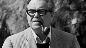 Max Frisch, Citoyen — foto 1