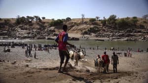 Soudan guerre du Tigre sur l autre rive — foto 1