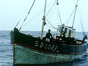 Episodio 13