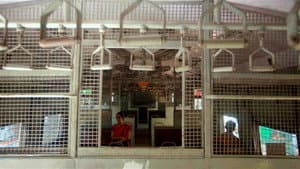மாலை நேர மல்லிப்பூ — foto 10