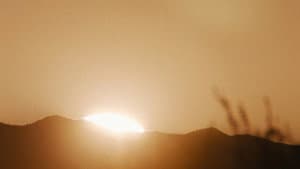 She Dies Tomorrow — foto 3