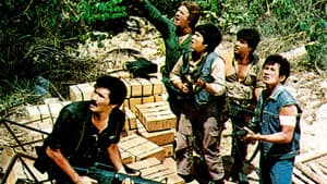 Gold Raiders — foto 2