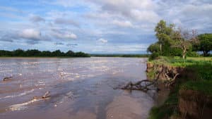 Africa River Wild — foto 1