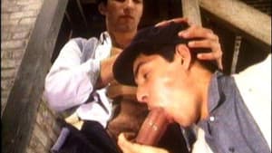 Gamins de Paris — foto 2
