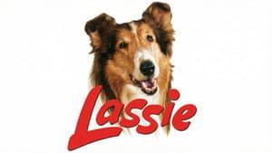 Lassie, the Voyager — foto 2