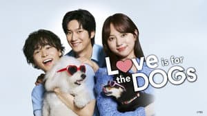 初恋DOGs — foto 4