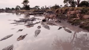 Katavi Africa's Fallen Paradise — foto 4