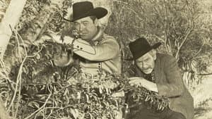 Prince of the Plains — foto 1