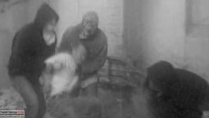 Murder Collection V.1 — foto 1