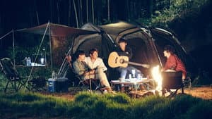 마차 타고 고래고래 — foto 10