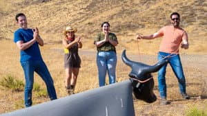 Episodio 7