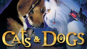 Como Perros y Gatos — foto 1