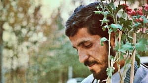 کلوزآپ ، نمای نزدیک — foto 6