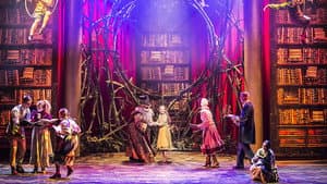 Sprookjessprokkelaar De Musical — foto 5