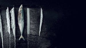 Marea blanca: La surrealista historia de Rabo de Peixe — foto 1