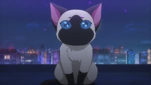 Episodio 12