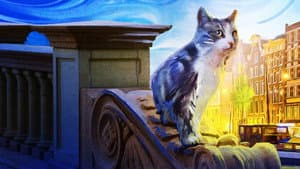 Gatos: Una oda al amor gatuno — foto 1