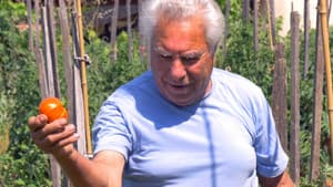 Le potager de mon grand-père — foto 3
