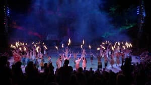 Sharing Aloha — foto 2
