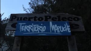Puerto Peleco — foto 1