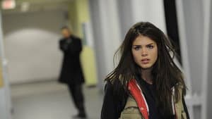 Fugitive at 17 — foto 6